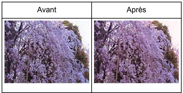 CANON G2501 - Réglage des couleurs - 2