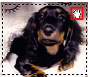 CANON G2501 - Ajustement d'un cadre de découpe - 2