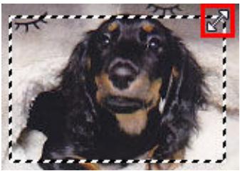 CANON G2501 - Ajustement d'un cadre de découpe - 1