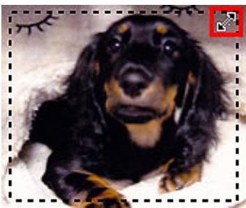 CANON G2501 - Ajustement d'un cadre de découpe - 1