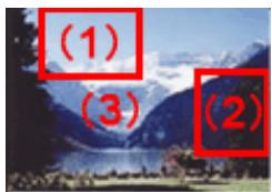 CANON G2501 - Utilisation des histograms - 1