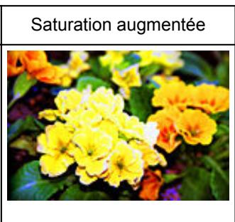 CANON G2501 - Saturation - 4