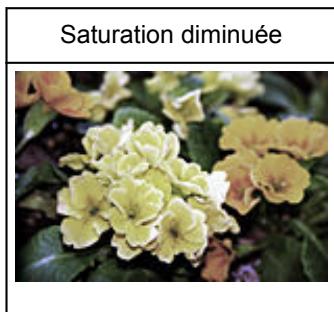 CANON G2501 - Saturation - 2