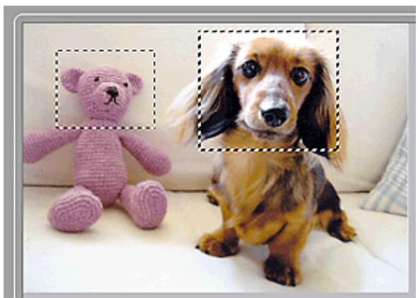 CANON G2501 - Vue de l'image entière : - 1