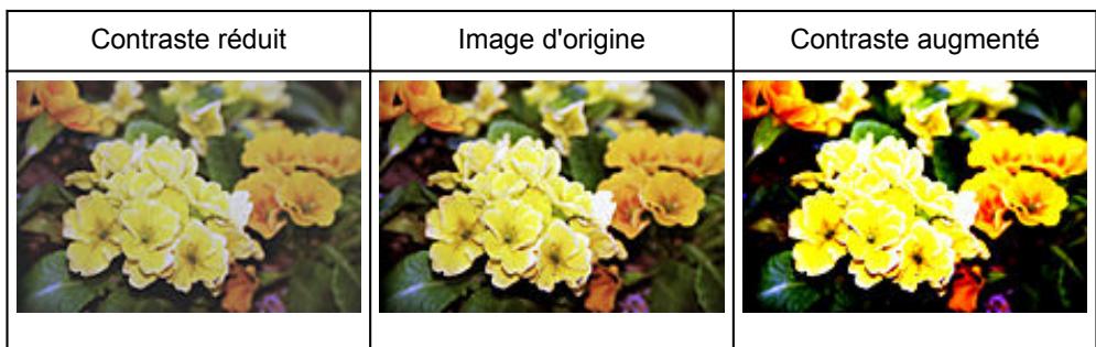 CANON G2501 - Contraste - 2