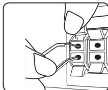 LG BH6540TC - Raccordement des enceintes au lecteur - 1