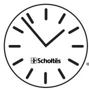SCHOLTES FI466SPF - Cuisson automatique - 10