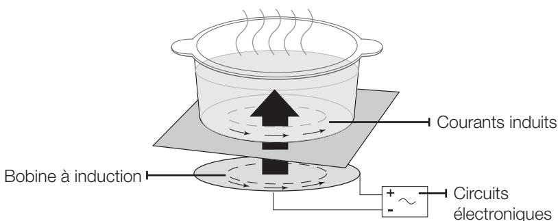 SAMSUNG CTN 365 DC 01 INOX - Chauffage par induction - 1