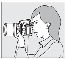 NIKON PACK FD D5300+18-140VR - (AUTO et 3) - 3