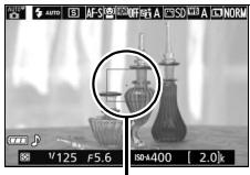 NIKON PACK FD D5300+18-140VR - Effectuer la mise au point. - 2