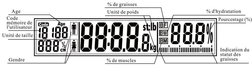 OKOTA GBF 12 - Affichage LCD - 1