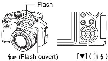 CASIO EX-FH2OBKECA - En mode REC, appuyez une fois sur [ ] (1). - 1