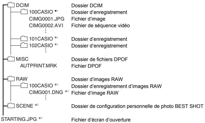 CASIO EX-FH2OBKECA - Structure des dossiers de la mémoire - 1