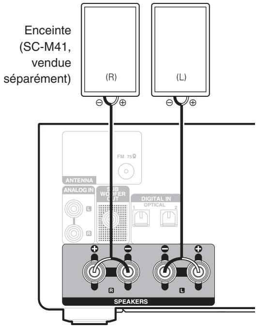 DENON DM41BHBK - Branchement enceintes - 1