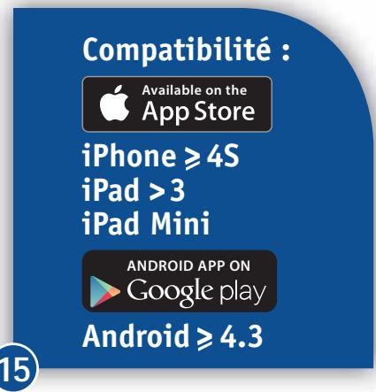 SEB AH980800 - Bluetooth - 16