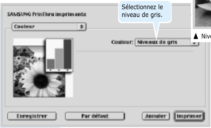 SAMSUNG ML-1200 - Fonctions d'impression avances - 3