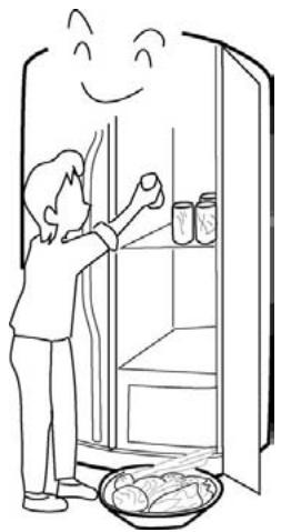 FALCON FSXS661G6B/C - Arrêt prolongé - 1