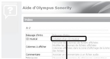 OLYMPUS DM-901 - Ecran de navigation - 1