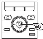 OLYMPUS DM-901 - Insertion d'une carte SD - 5
