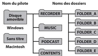 OLYMPUS DM-901 - Carte SD - 1