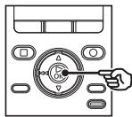 OLYMPUS DM-901 - Suppression de fichiers - 5