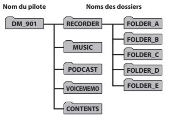 OLYMPUS DM-901 - Memoire interne - 1