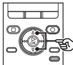 OLYMPUS DM-901 - Insertion d'une carte SD - 3