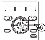 OLYMPUS DM-901 - Lecture d'un méo vocal enregistré - 5
