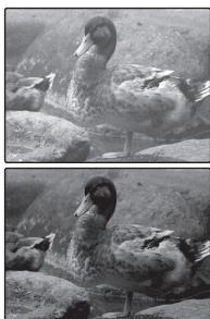 FUJIFILM JX250 - Choisissez une valeur. - 2