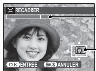FUJIFILM JX250 - RECADRER - 2