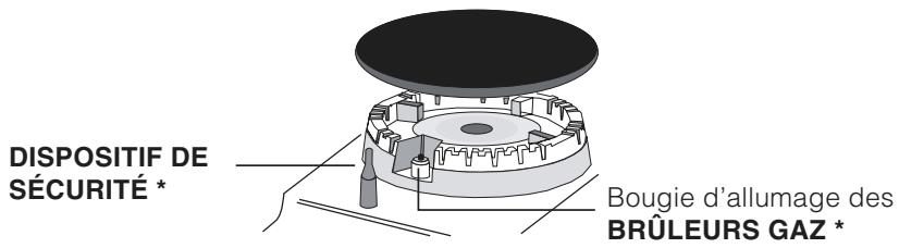 HOTPOINT-ARISTON PH 750 TIX/HA - \section*{Caracteristiques des brûleurs et des injecteurs} - 10