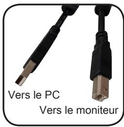MSI MAG274R - Vue d'ensemble du moniteur - 10