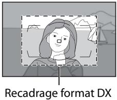 NIKON D700+24-120VR - Recadrage au format DX - 1