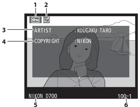 NIKON D700+24-120VR - Histogrammes - 7