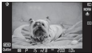 NIKON D700+24-120VR - Luminosité du moniteur - 3