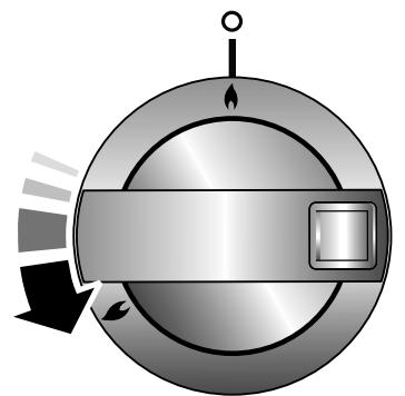 FALCON ARL9ODFSS - François - 1