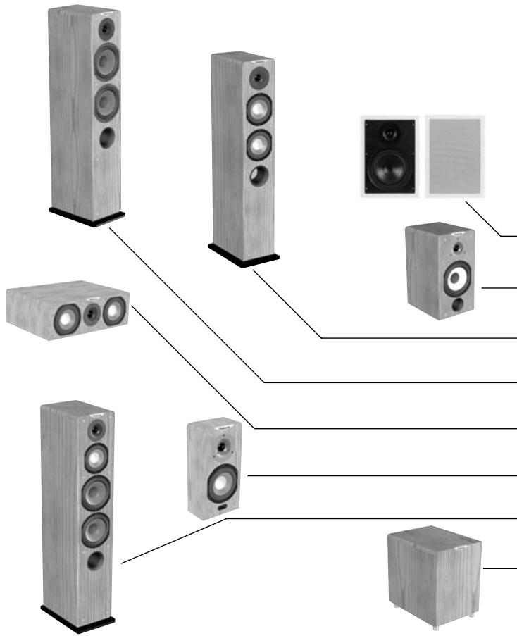 CABASSE TOBAGO MT 30 WENGE - Branchement du caisson de graves - 1