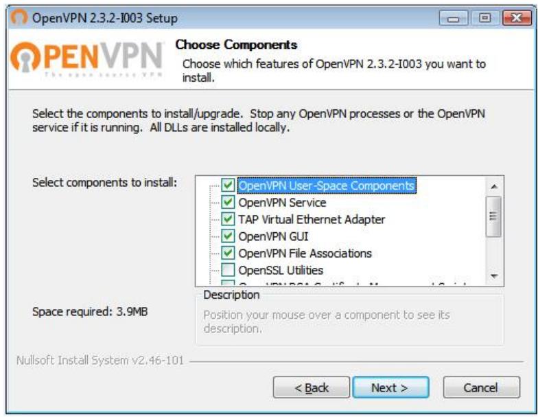 NETGEAR R7000P-100PES - To install VPN client software on your Windows computer: - 2