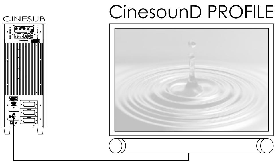 CABASSE CINESOUND SAT 3.1 - POSITIONNEMENT DU SATELLITE PROFILE DE CINESOUND PROFILE - 2