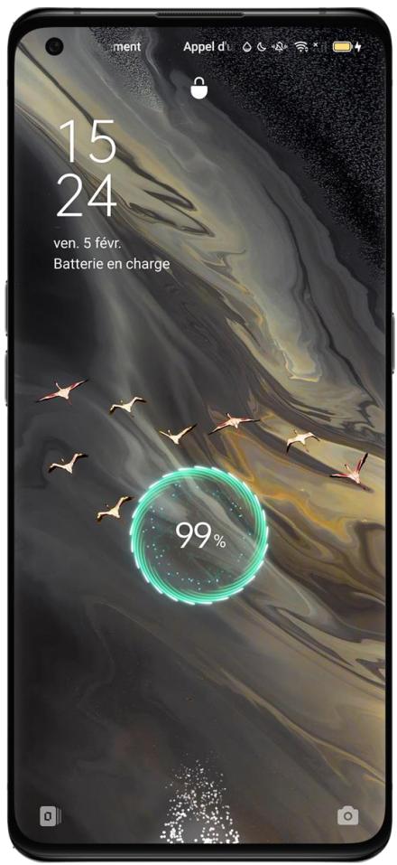 OPPO NUSFINDX3PRO - Recharger la batterie - 1