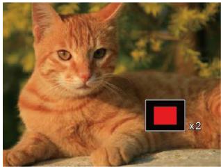 KODAK WPZ2 - Utilisation du zoom sur les images déjà prises (images fixes seulement) - 2
