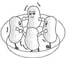 SCHOLTES MWI241WHBLANC - Régles fondamentales pour une bonne cuisson aux micro-ondes - 2