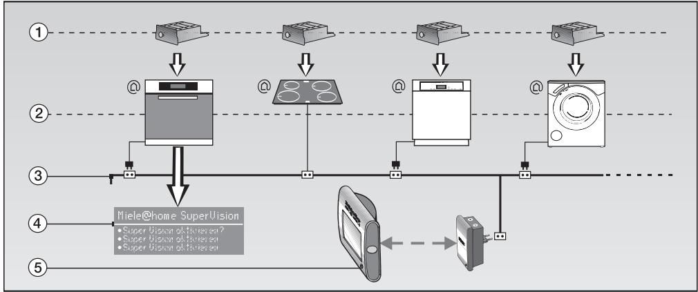 MIELE H5981BP - Pastilles de détartrage, tuyau en plastique avec support - 2