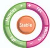 TEFAL BM8022 - Les fonctions de BODYSIGNAL - 3