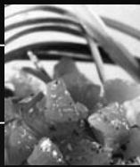 RIVIERA ET BAR PT 192 A GRIS METAL - pc 192 a - 2