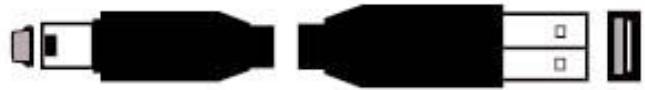 LACIE Data Bank Hi-Speed USB 2.0 - Cables USB - 1