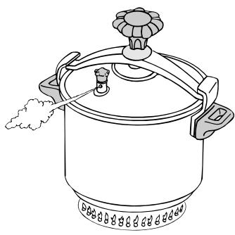 SEB AUTHENTIC 10L P05316 - Avant la cuisson - 3