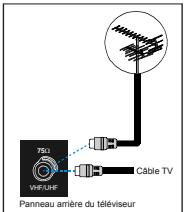 PROLINE S1443X - Branchement de la prise d'antenne - 1