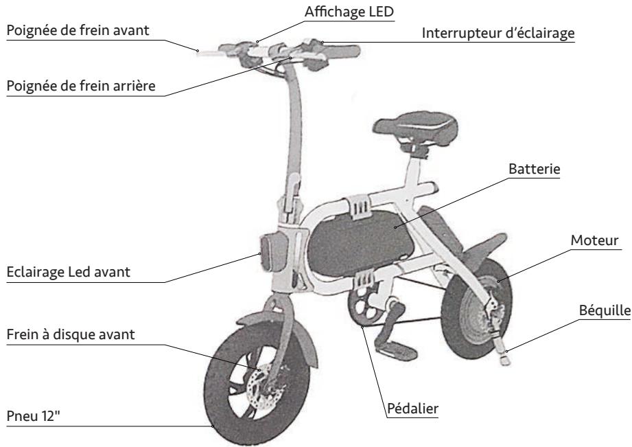 INMOTION NC - - Descriptif produit - 2