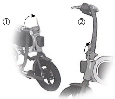 INMOTION NC - Assemblage - 1